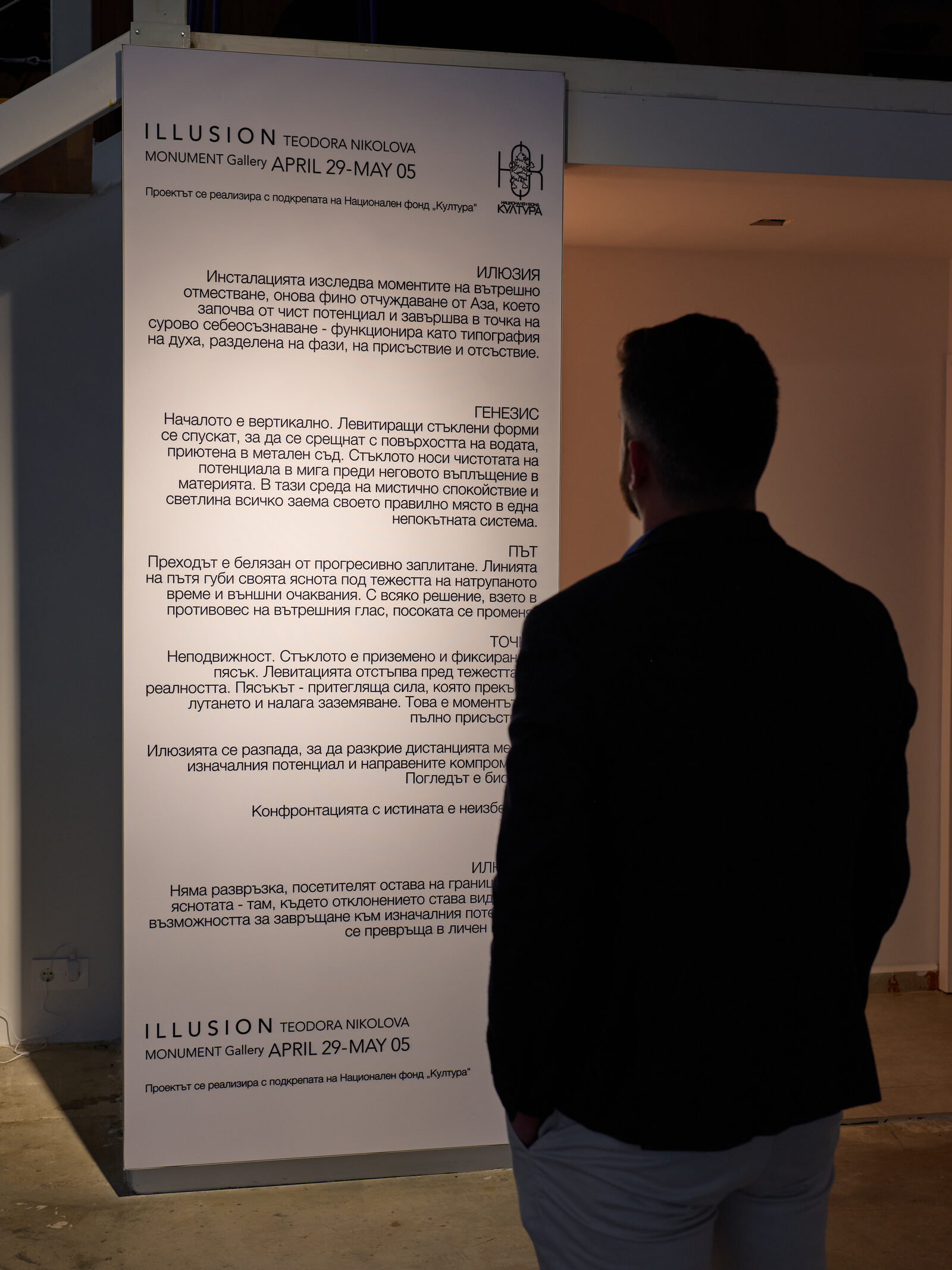 Visitor contemplating the Illusion installation text panel